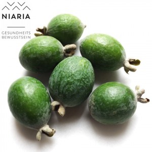 NIaria - Feijoas mit Logo